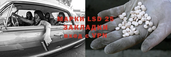 ПСИЛОЦИБИНОВЫЕ ГРИБЫ Вяземский